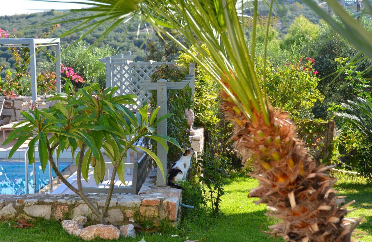 West Crete Chania - Villa Europa Darmarochori Exterior foto